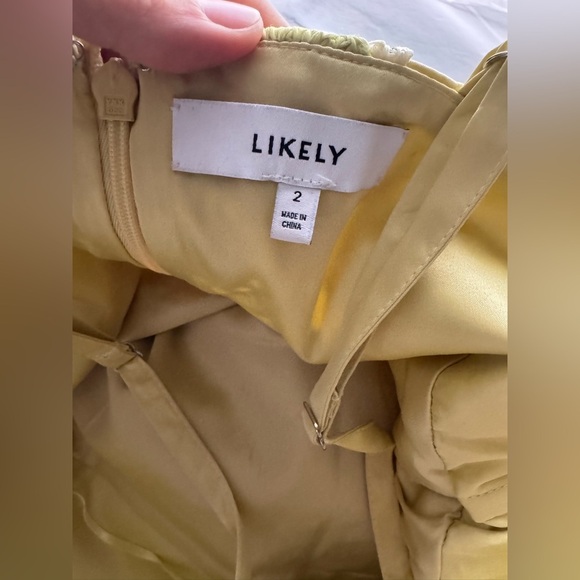 Likely Jenila Dress - Picture 15 of 16